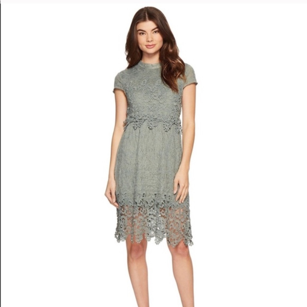 Romeo + Juliet Couture Lace Dress Open Back Dusty Sage Small - NWT